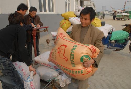 桐乡农产品农博会受热捧 粮食收购与农业新发展