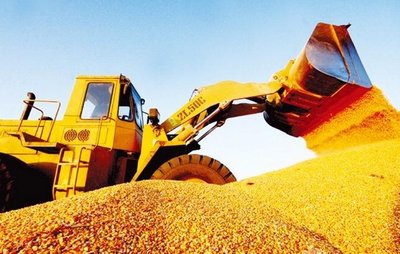 中储粮2015年粮食收购量达1.75亿吨 创历史新高