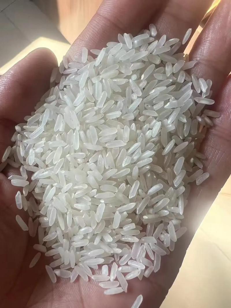 [赞][赞][赞] 2月前&middot;湖南 0 分享 回复 耀华粮食收购 .